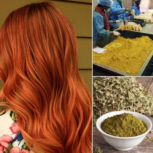 Natural henna leaves and powder